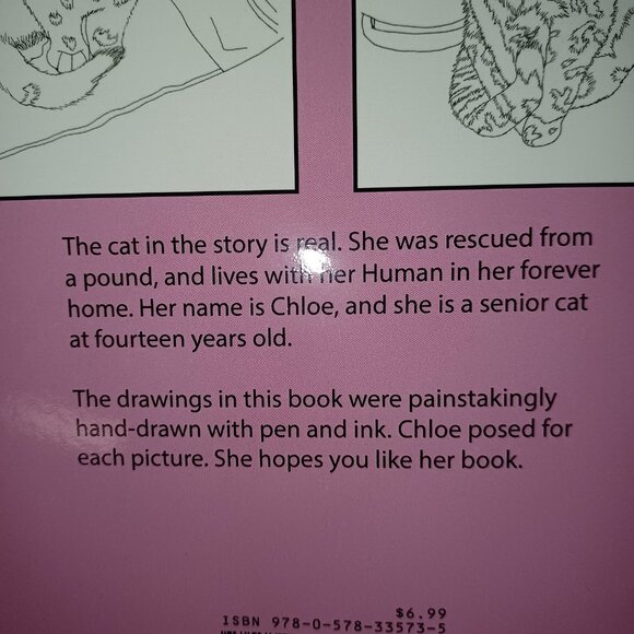 Cat Coloring Book - Picture 4 of 6
